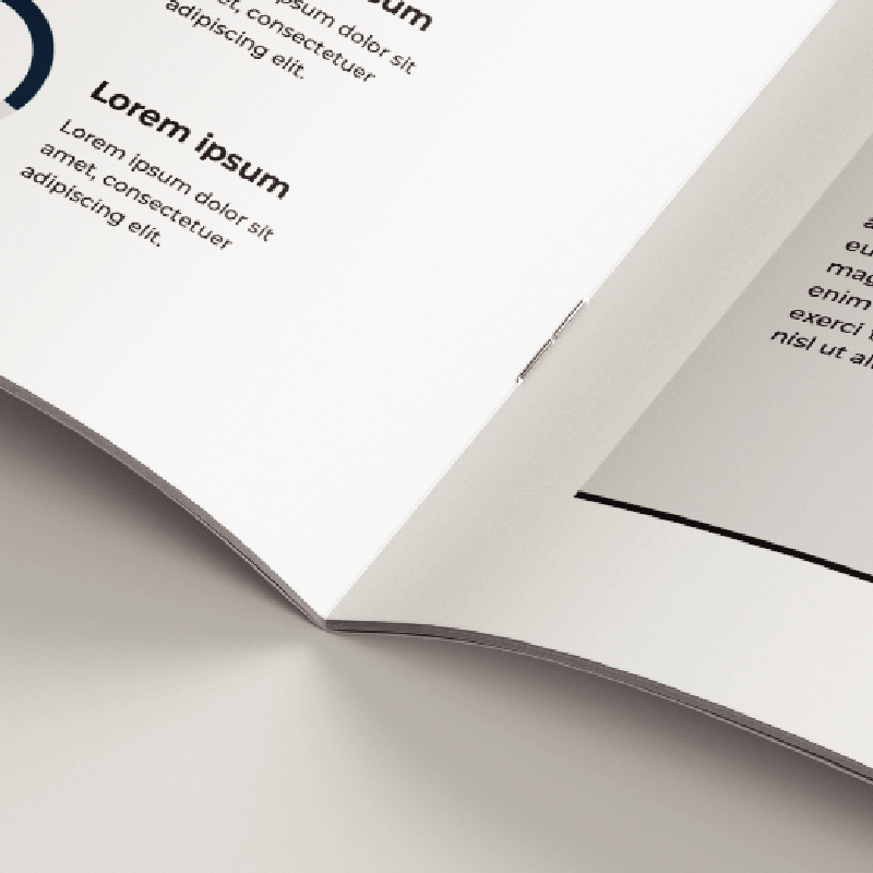 Revistas abrochadas